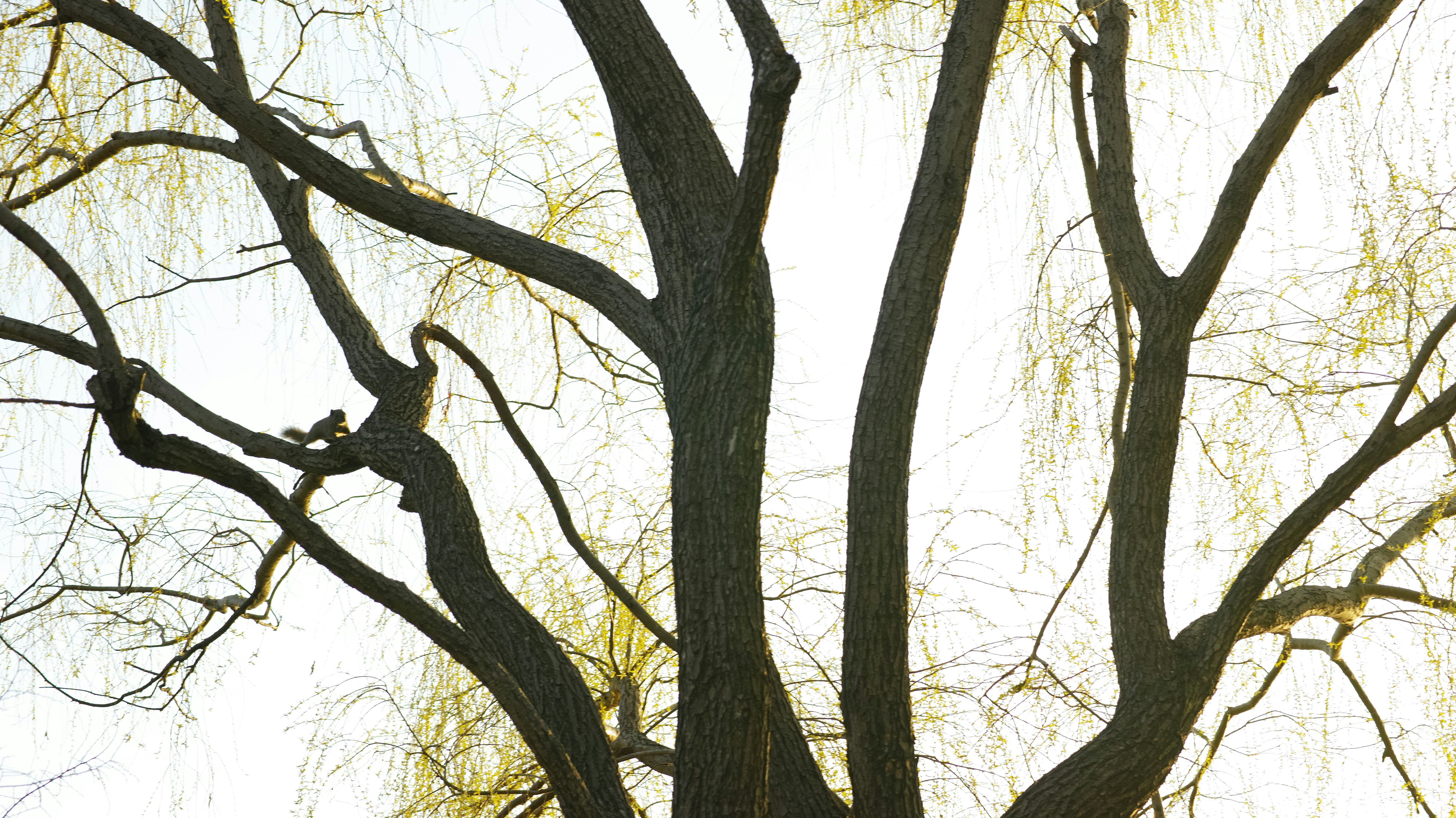 Photo by kouyo_machi