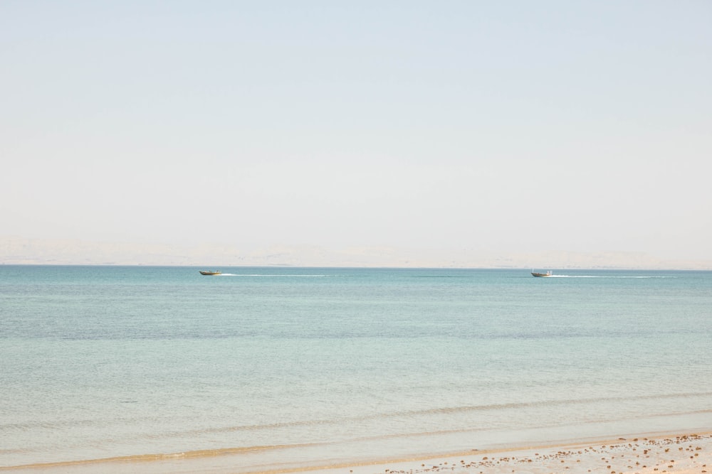 people on beach during daytime