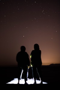 silhouette of 2 men standing on seashore during sunset