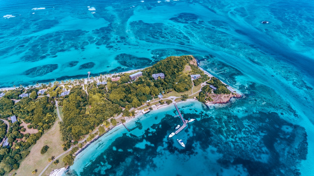 aerial view of green and brown island during daytime