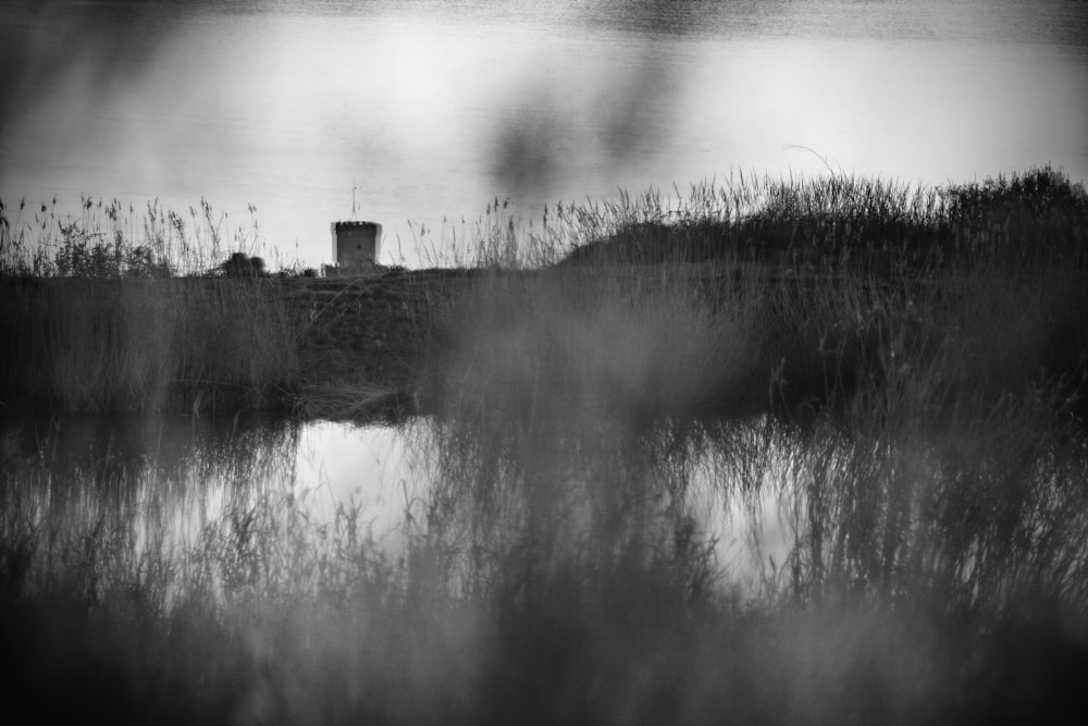 grayscale photo of body of water