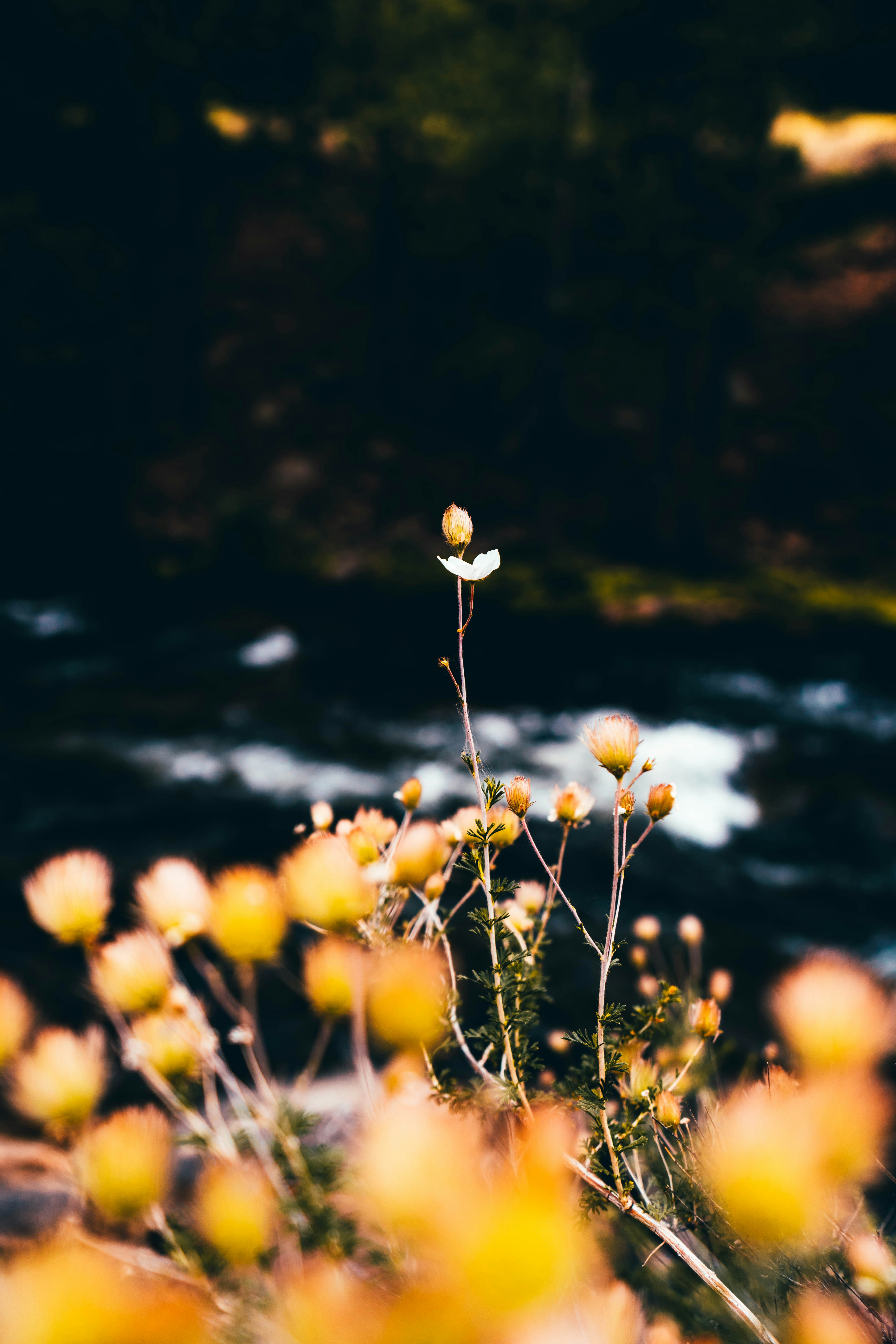 Photo by haroldwainwright