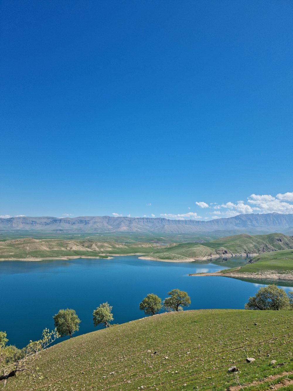 green grass field near lake under blue sky during daytime