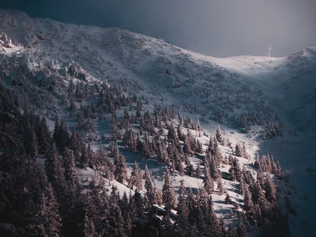 aerial view of snow covered mountain during daytime