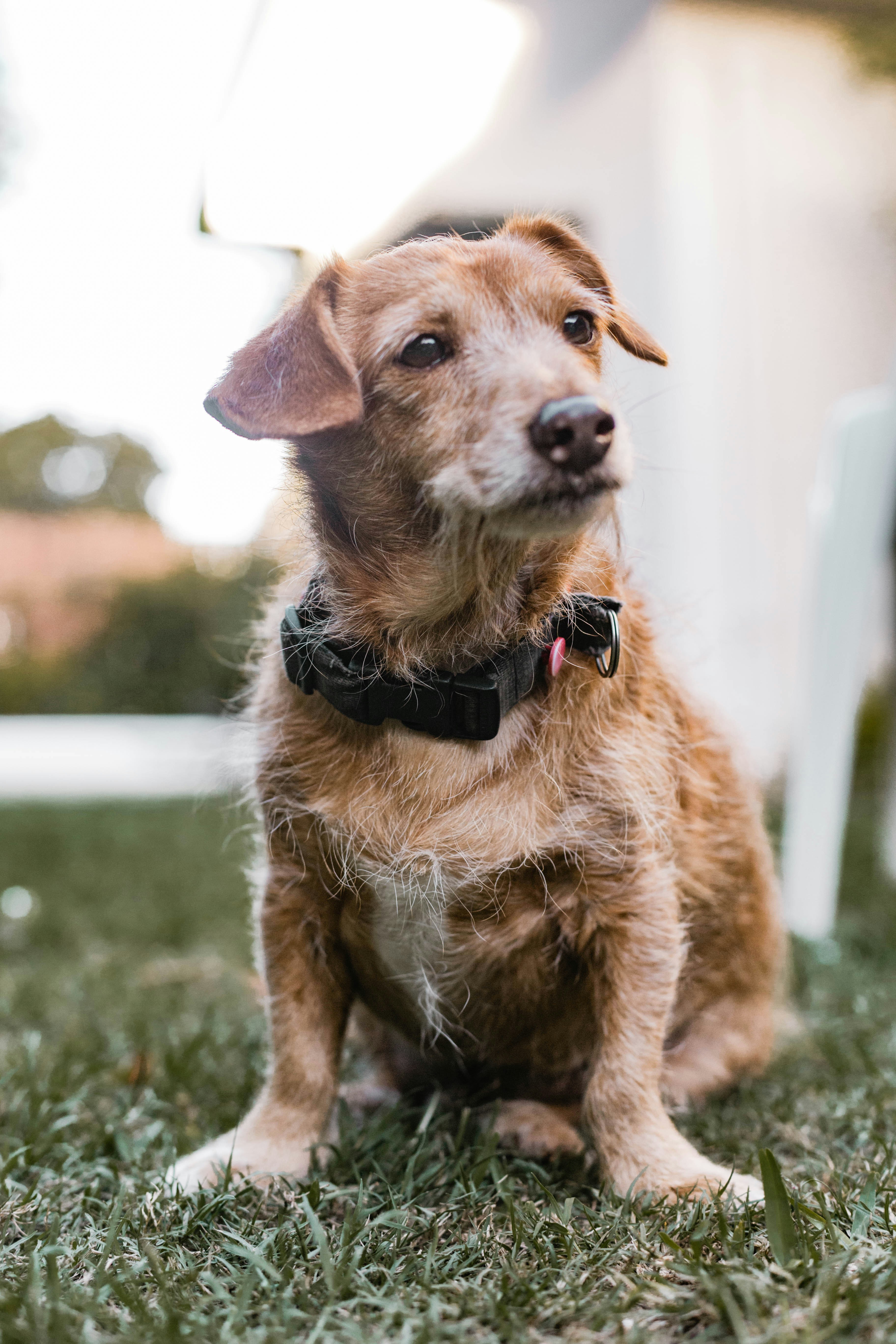 Photo by sincerelymedia