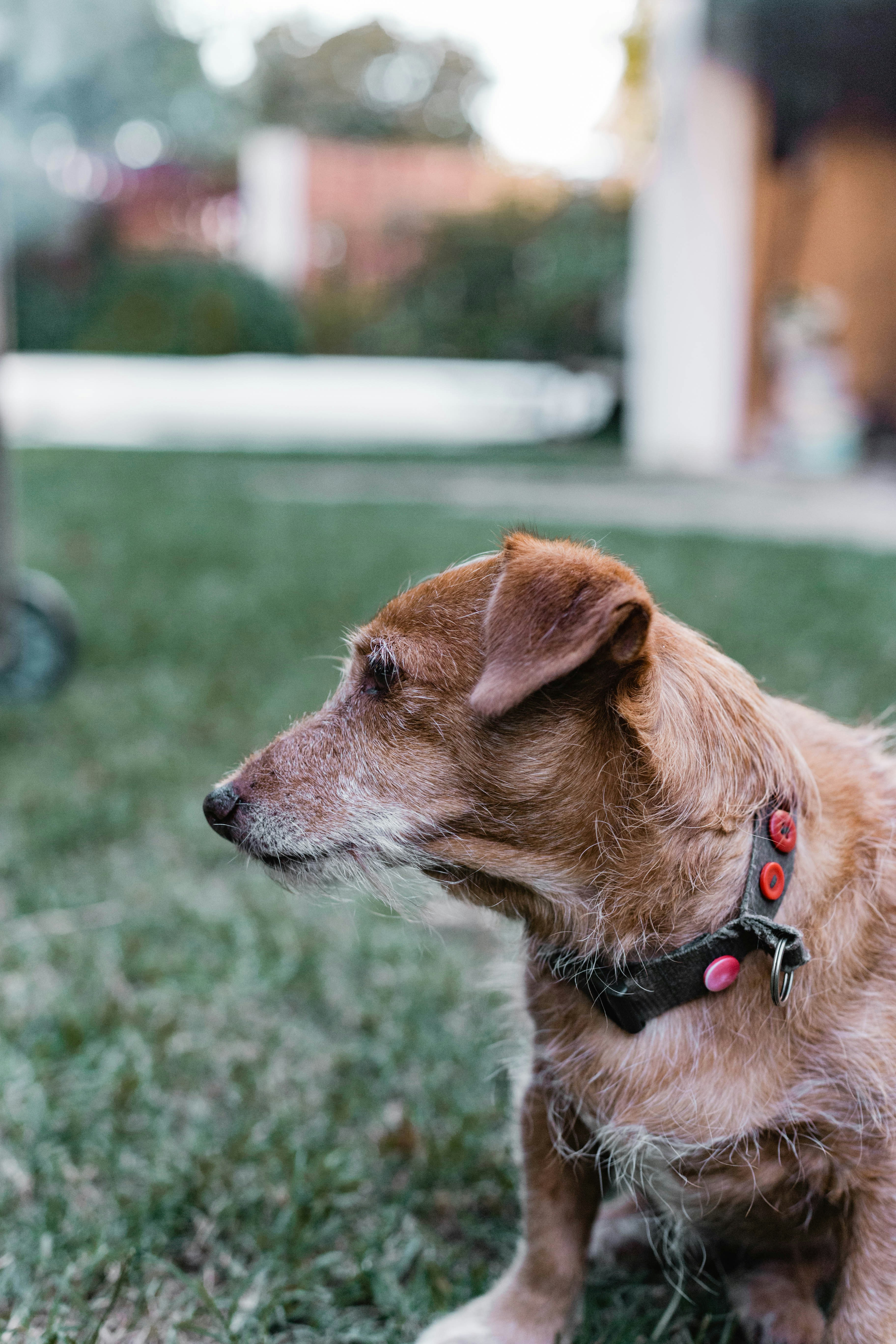 Photo by sincerelymedia