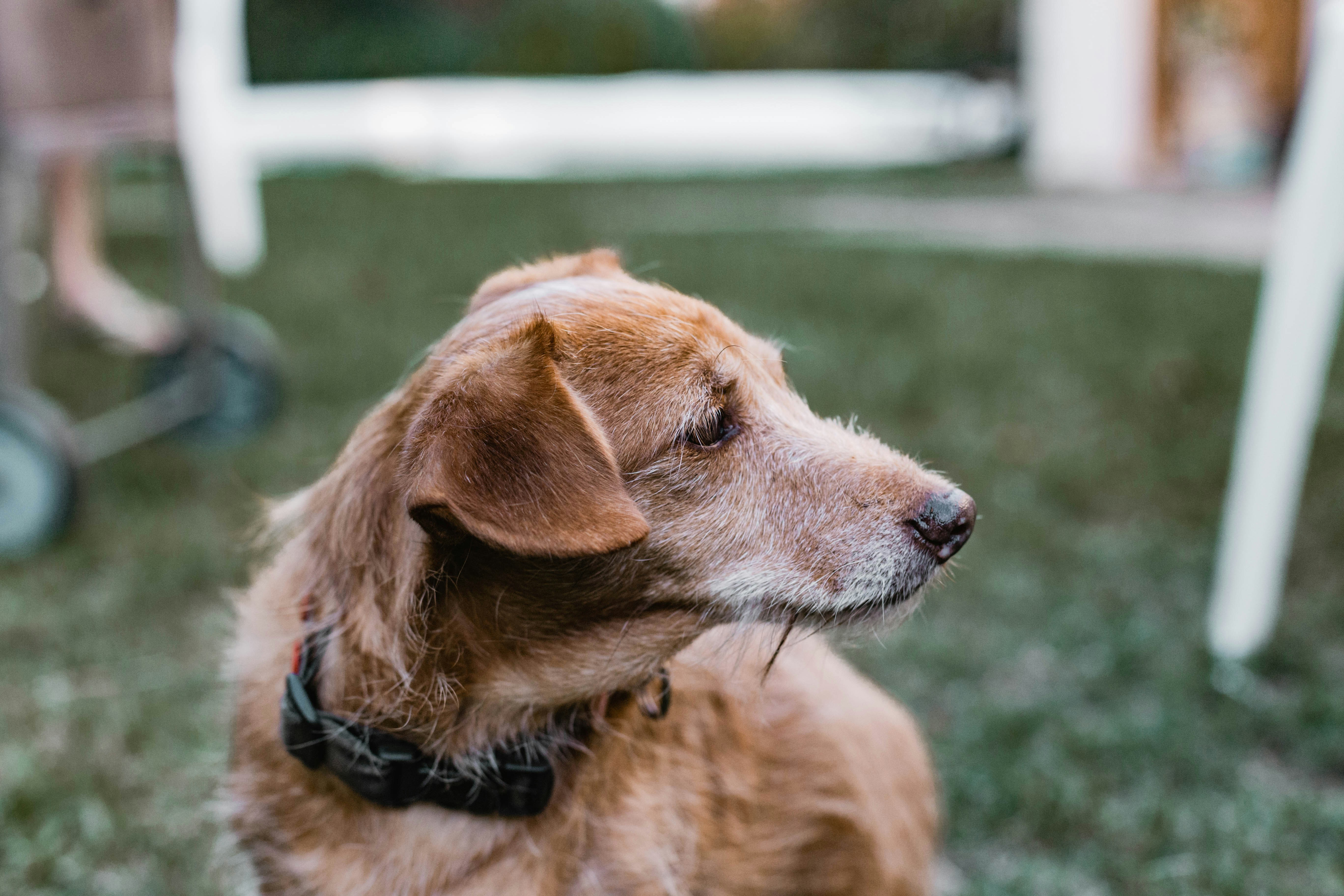 Photo by sincerelymedia