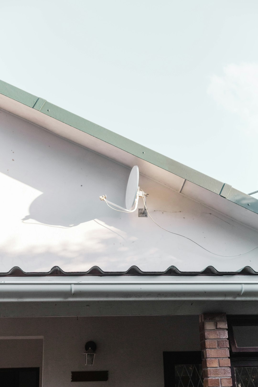 white and gray bird flying over the roof