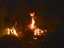 Bright orange and yellow flames are consuming dry twigs and leaves, contrasting against a dark background. The fire illuminates the immediate area with intense light and warmth.