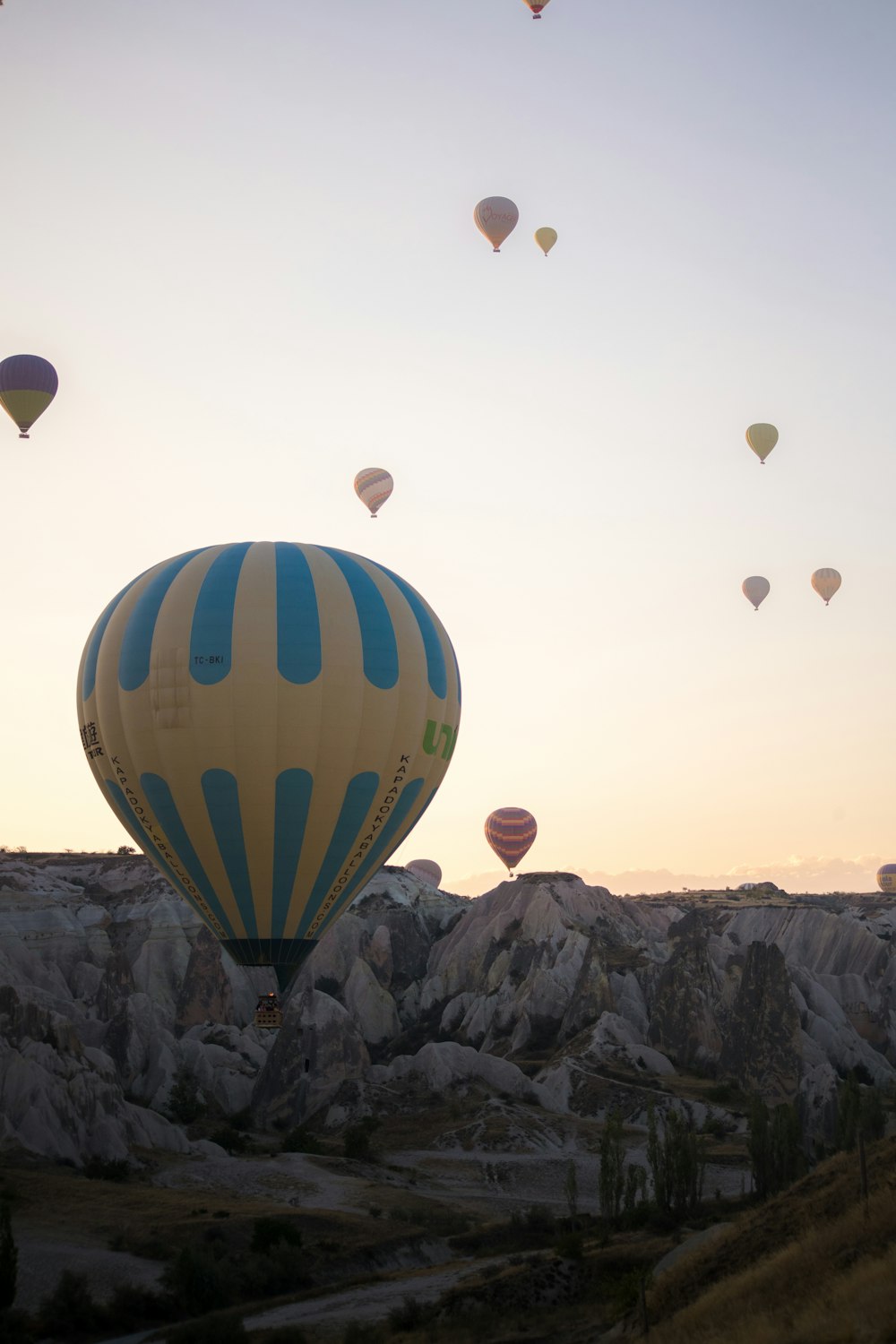 hot air balloons on the sky during daytime