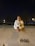 A person dressed in a white sweater is leaning on a concrete barrier, holding a soccer ball. It is nighttime, with streetlights illuminating the background, creating a calm and quiet ambience. Shadows are cast on the concrete wall, and the number 066 is stenciled on it.