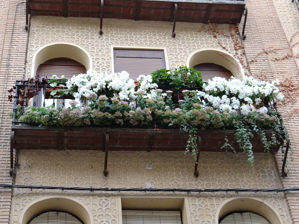 green and white flower on brown brick wall