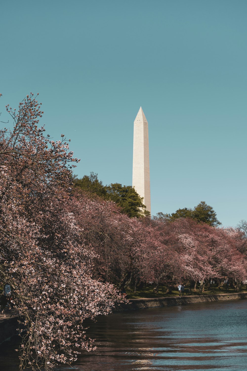 washington monument washington dc during daytime