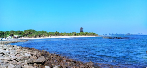 A scenic coastal landscape featuring a rocky shoreline with clear blue waters meeting the horizon. Lush green trees line the beach, providing a natural and serene backdrop. A small group of people can be seen in the distance, enjoying the tranquil beach setting under bright blue skies.