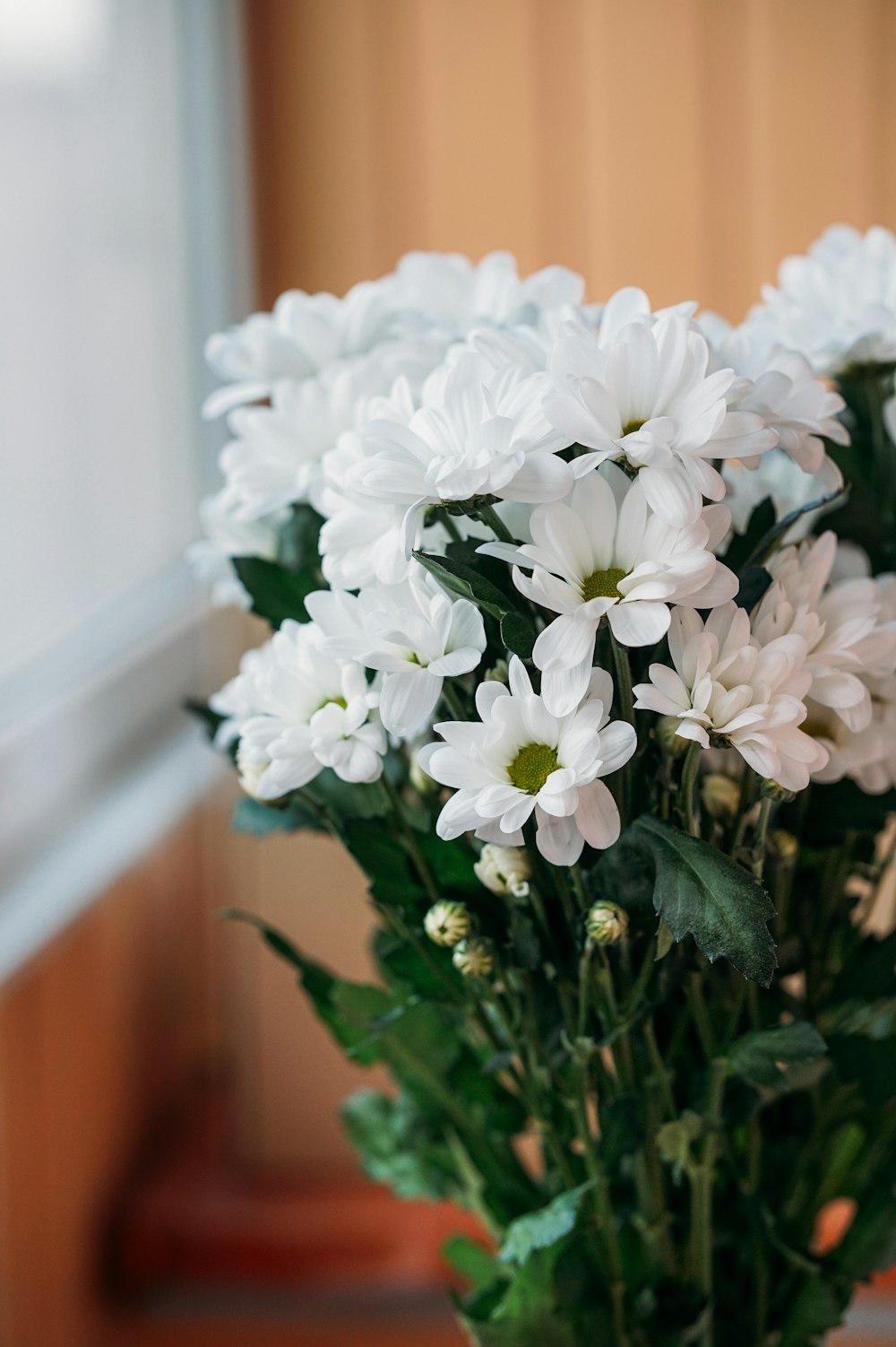 white flowers with green leaves