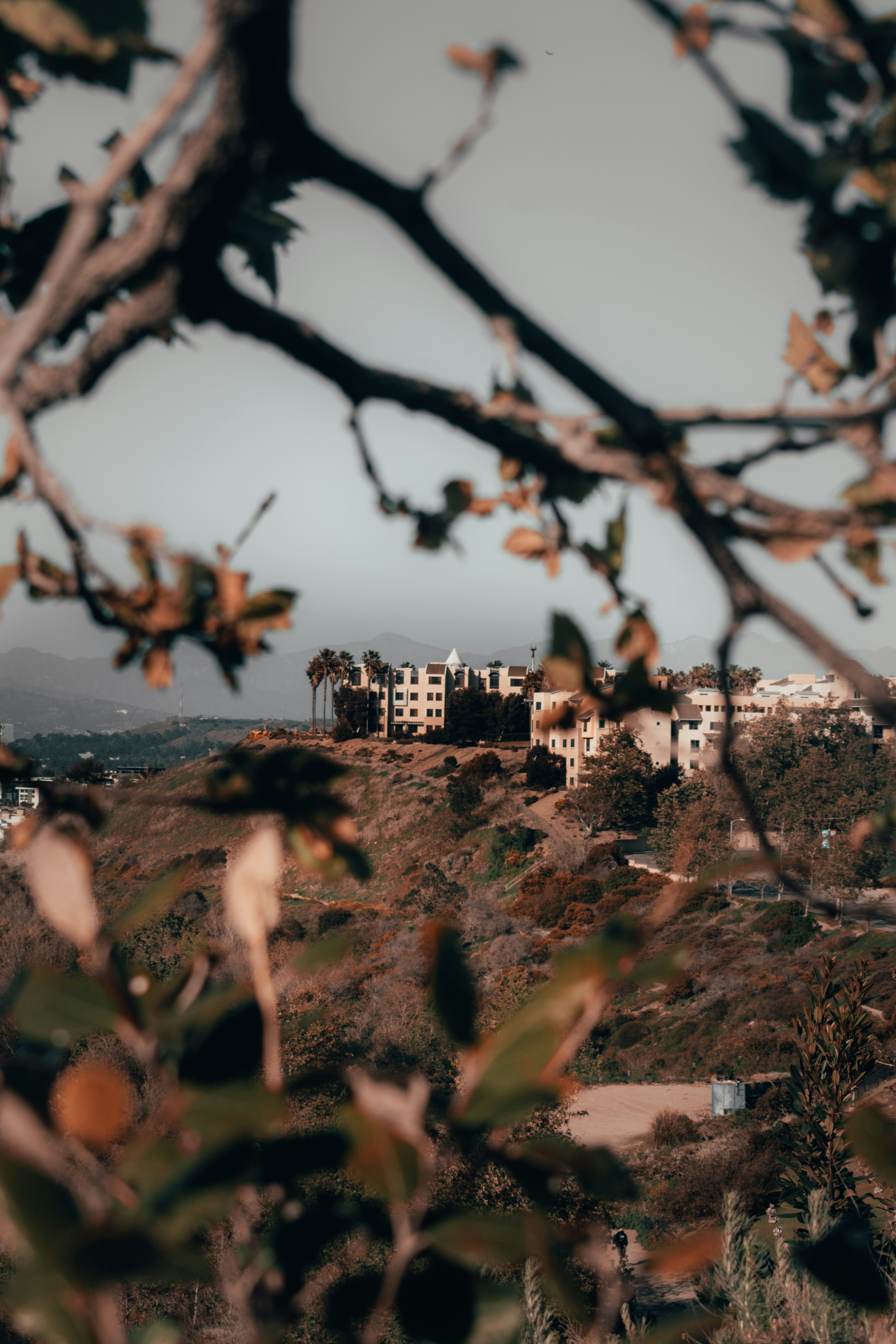 Photo by mariahhewines