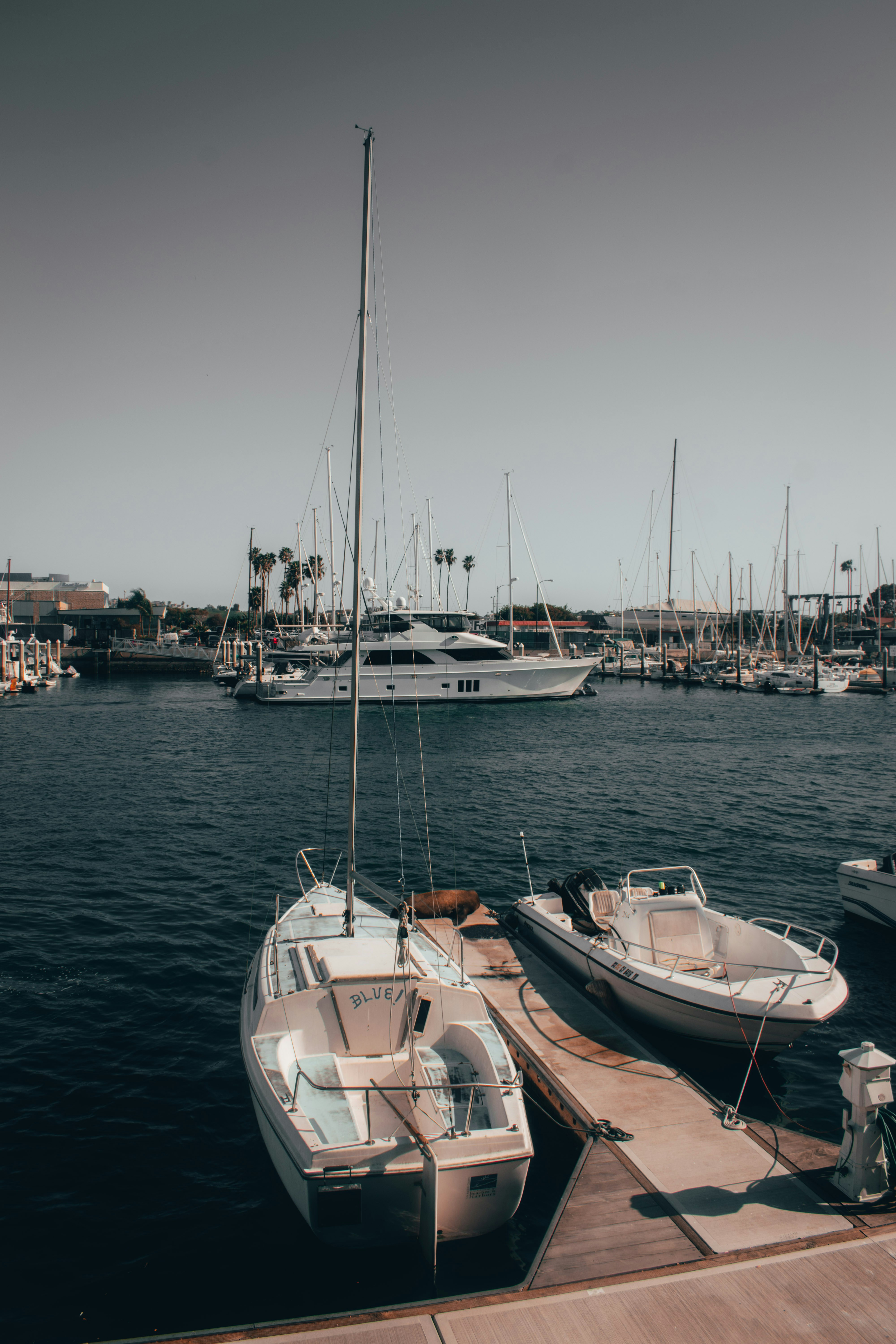 Photo by mariahhewines