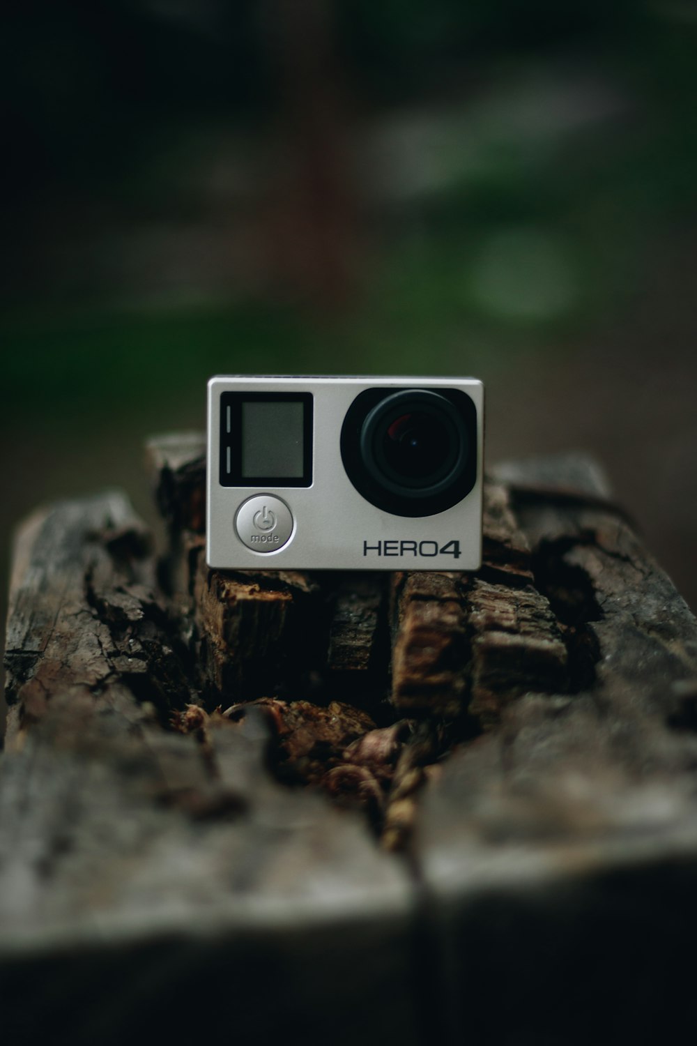 black and silver camera on brown tree log