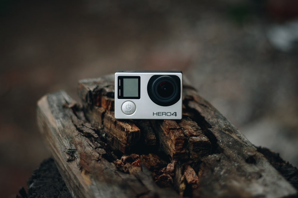 black and white camera on brown tree log