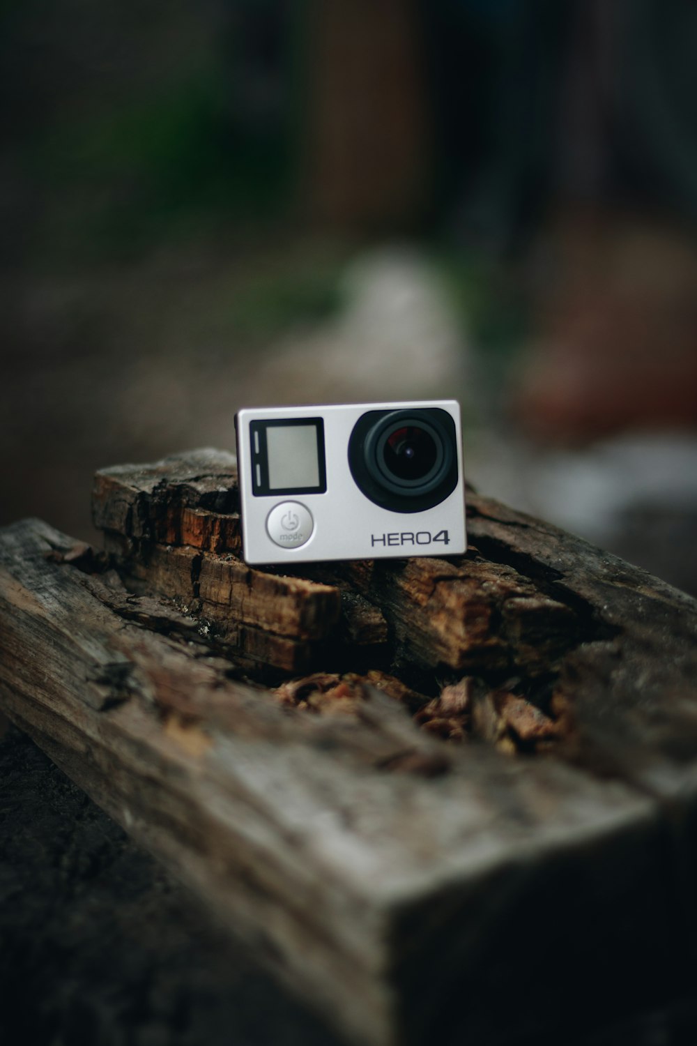 white and black camera on brown wood