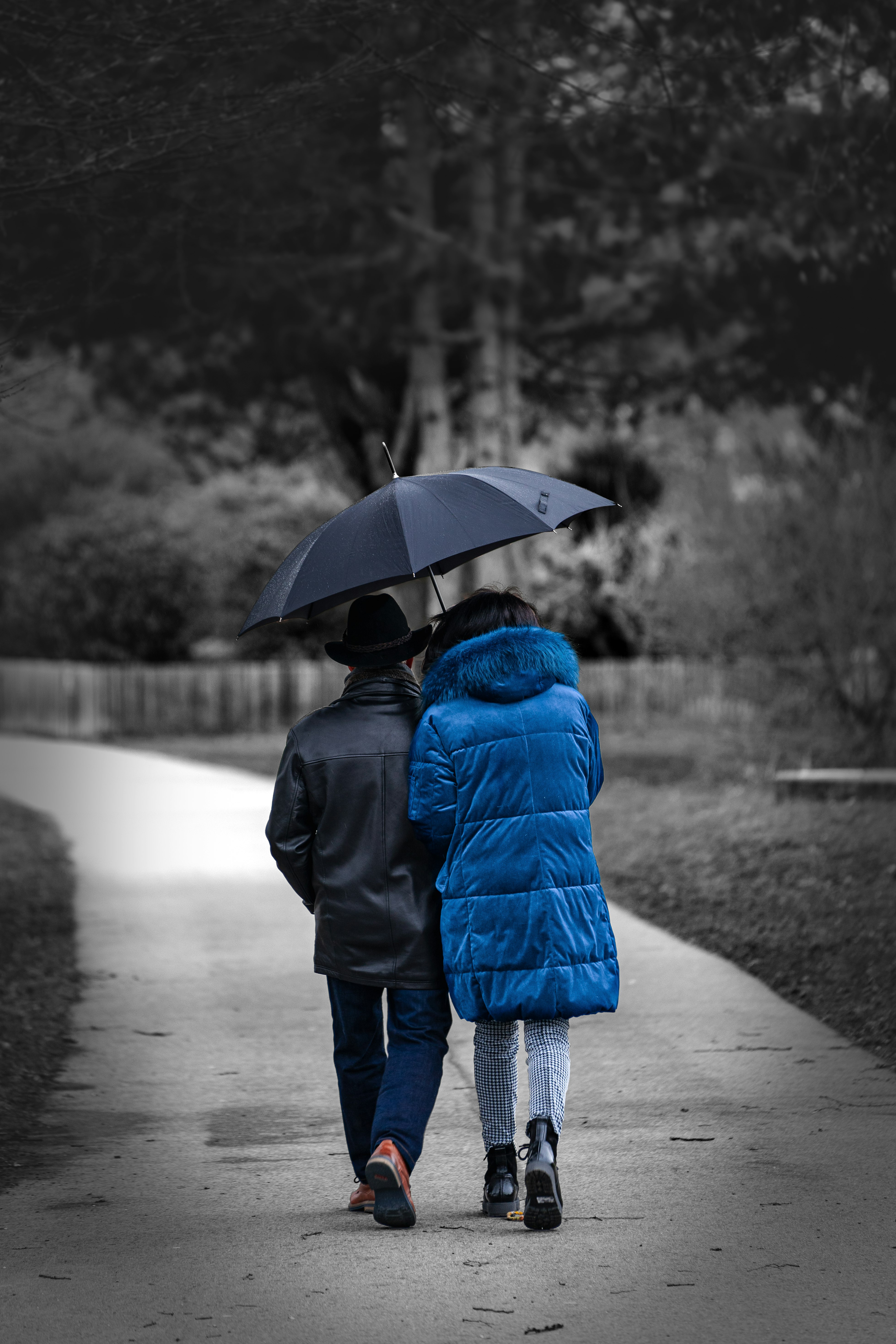 person in black jacket holding umbrella