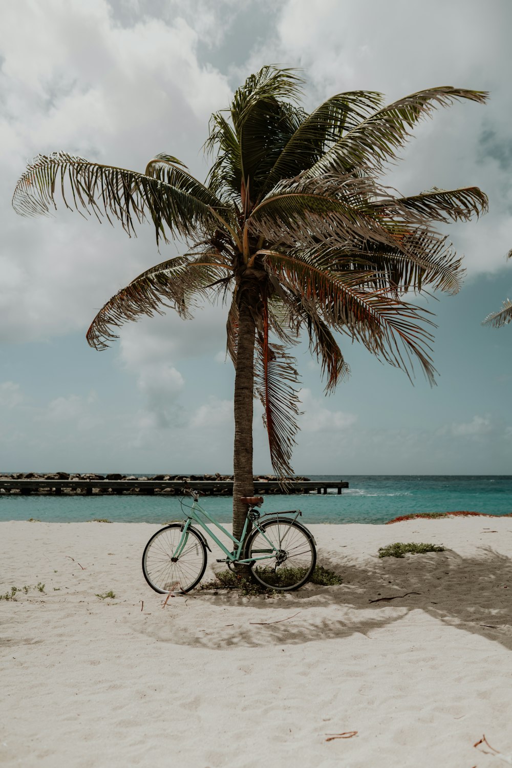 blue bicycle on beach during daytime