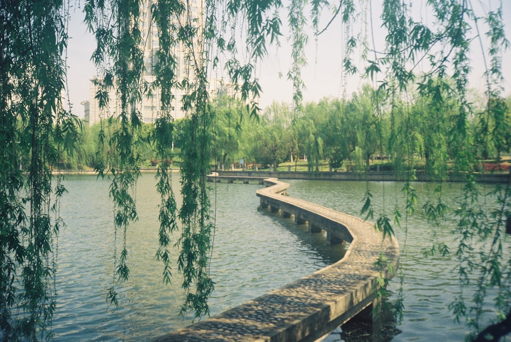 brown wooden dock on lake during daytime