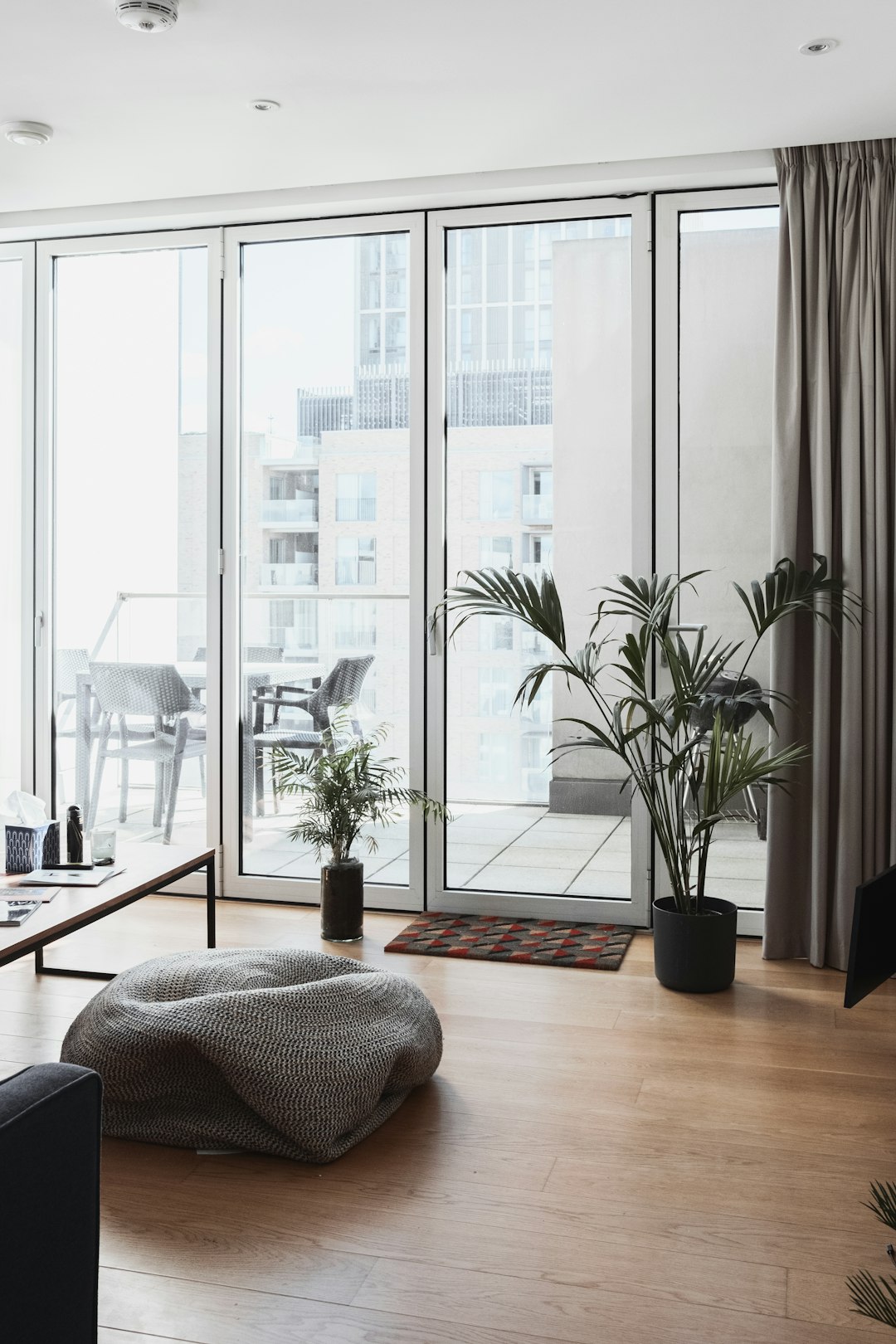 green potted plant on brown wooden floor