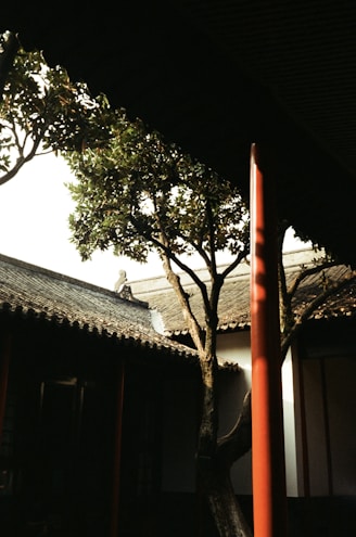 brown wooden house near green tree during daytime