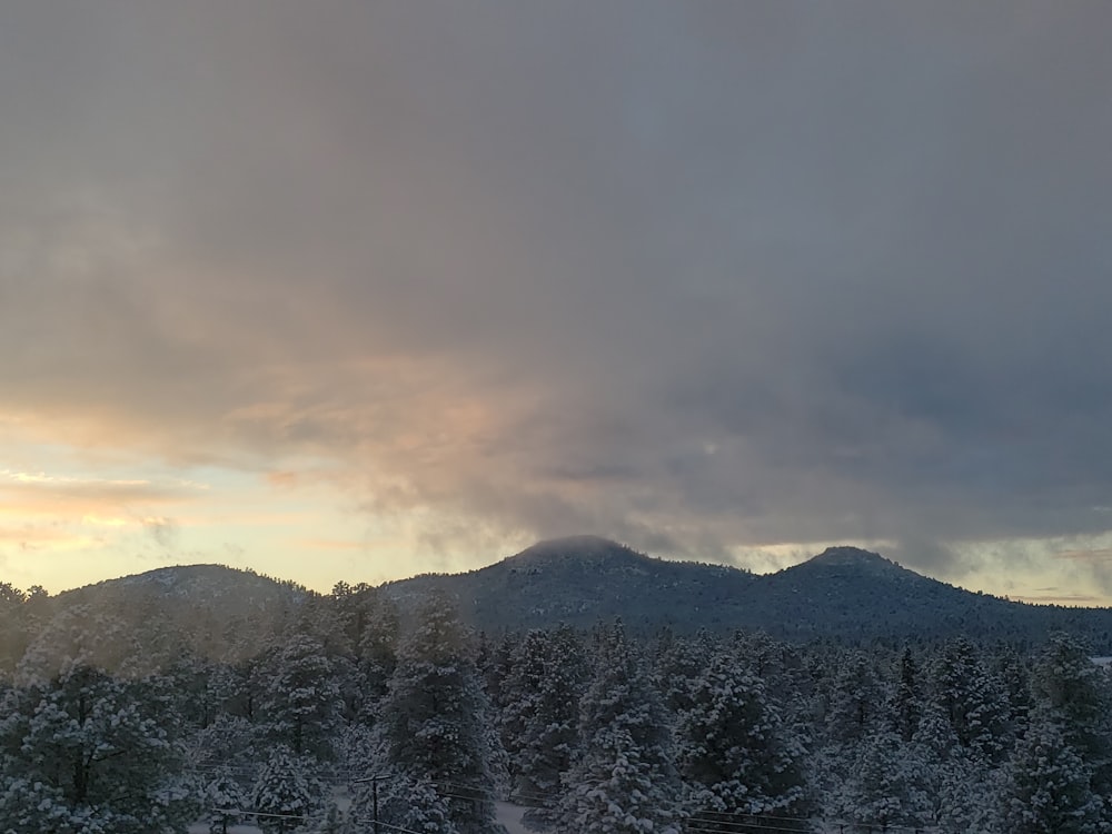 green trees on mountain under cloudy sky during daytime