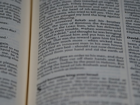 A close-up image of an open book displaying paragraphs of text in a serif font. The text appears to be from a narrative, focusing on a biblical or historical story. The pages are slightly curved, suggesting the book is being held open or resting.
