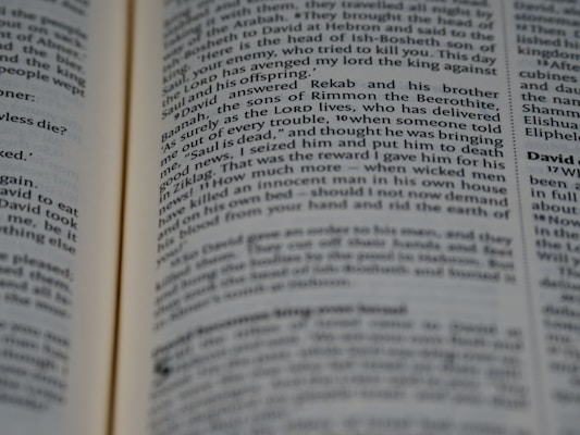 A close-up image of an open book displaying paragraphs of text in a serif font. The text appears to be from a narrative, focusing on a biblical or historical story. The pages are slightly curved, suggesting the book is being held open or resting.