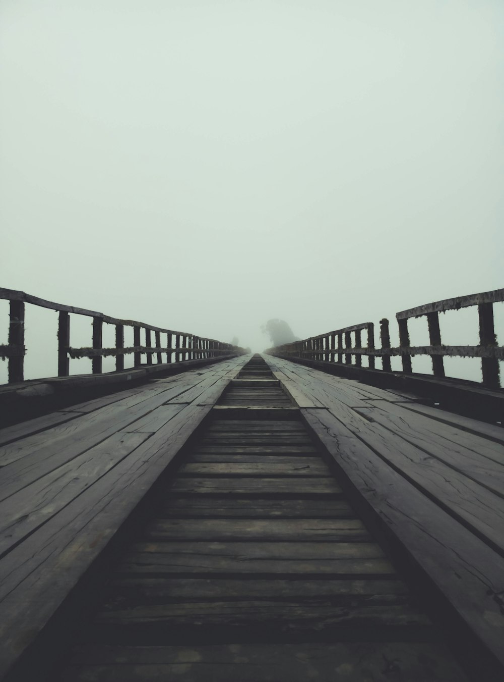 brown wooden dock with fog