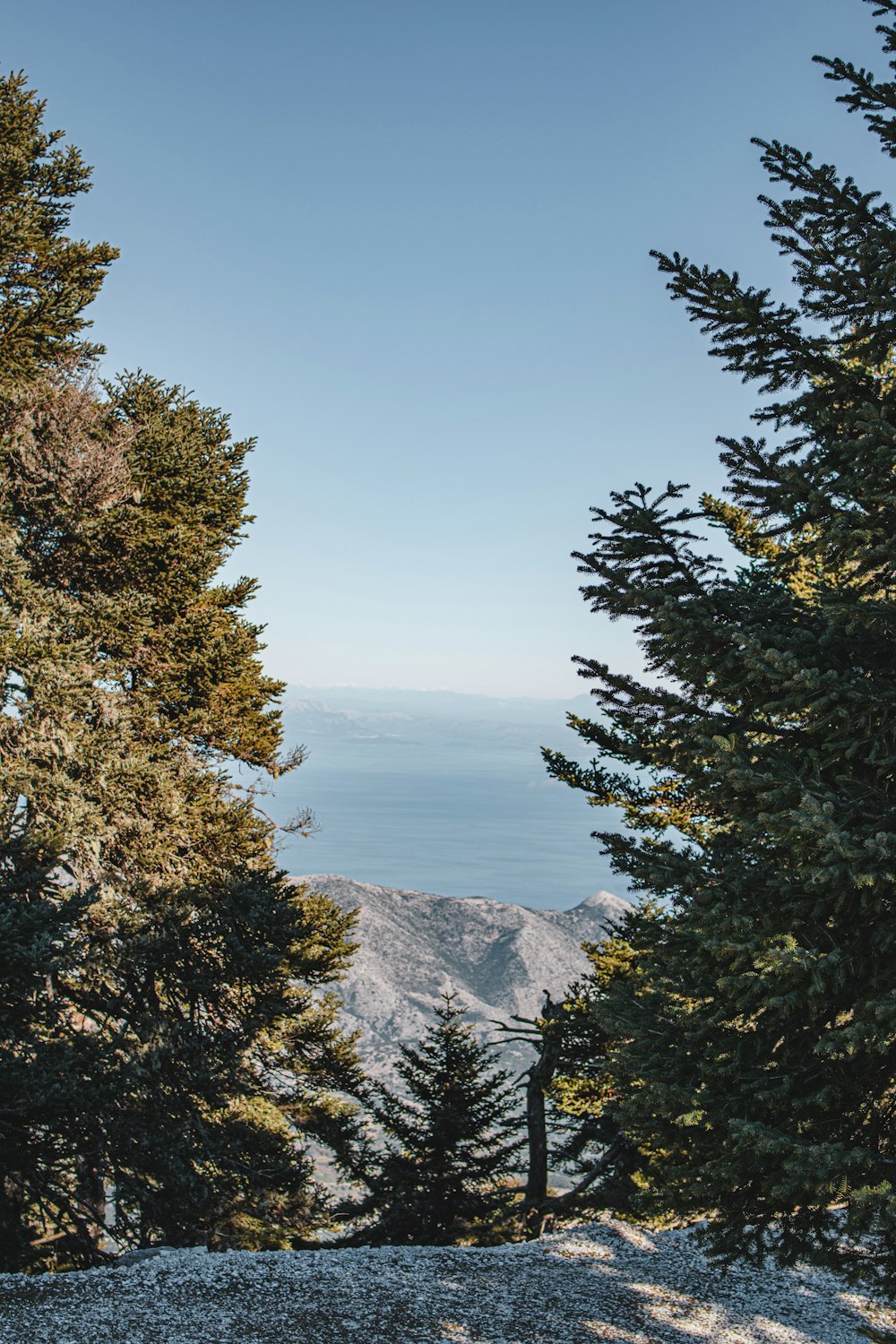 green trees on mountain under blue sky during daytime