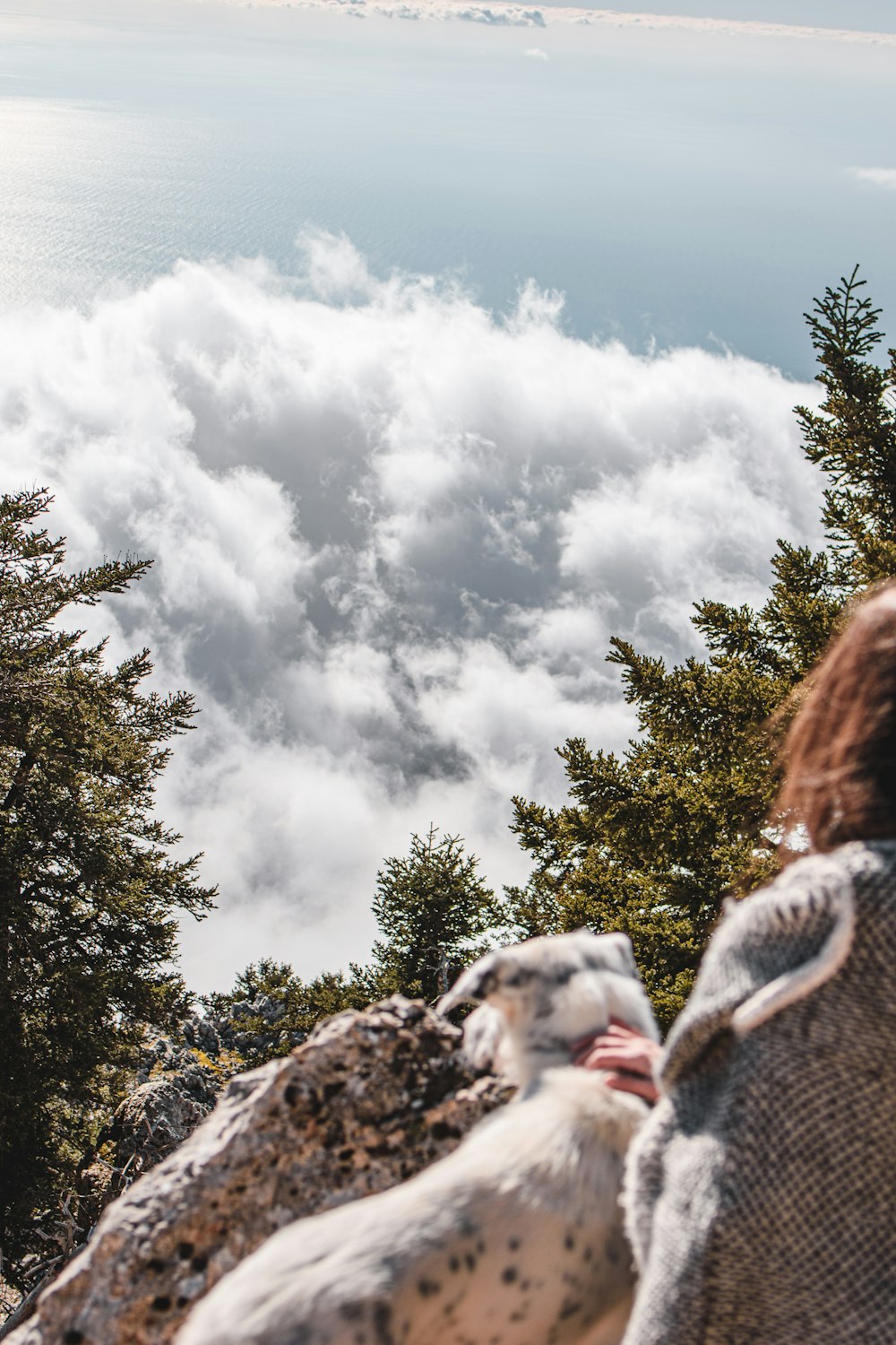 woman in white and black stripe long sleeve shirt standing near green trees under white clouds