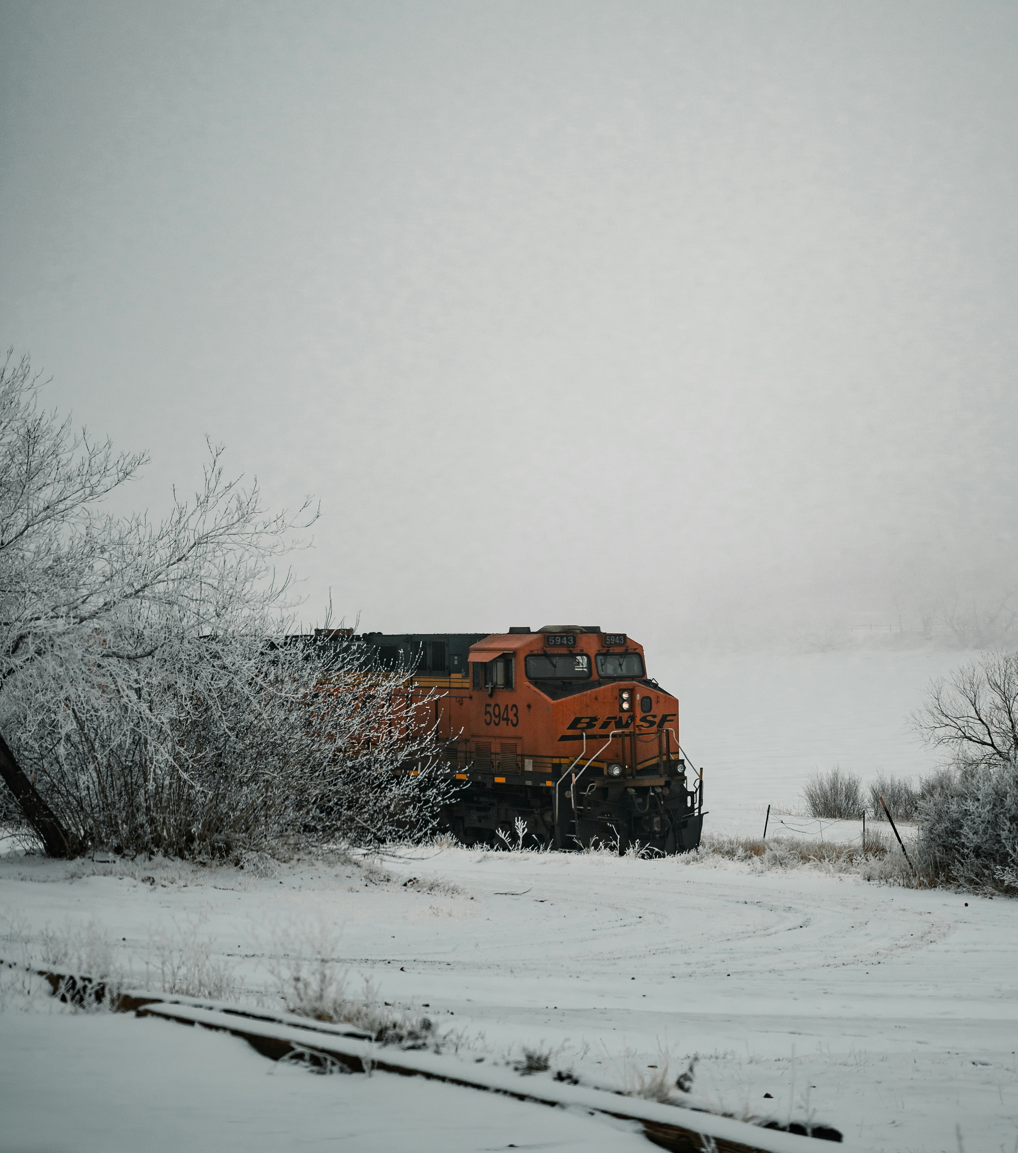 brown train on snow covered ground during daytime