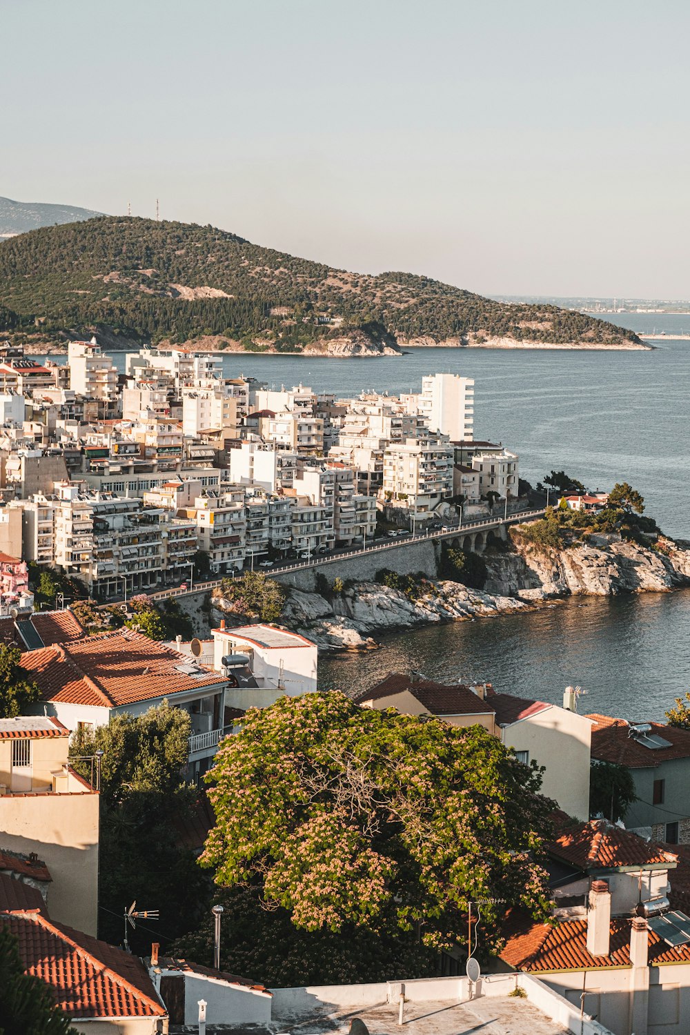 aerial view of city buildings near body of water during daytime