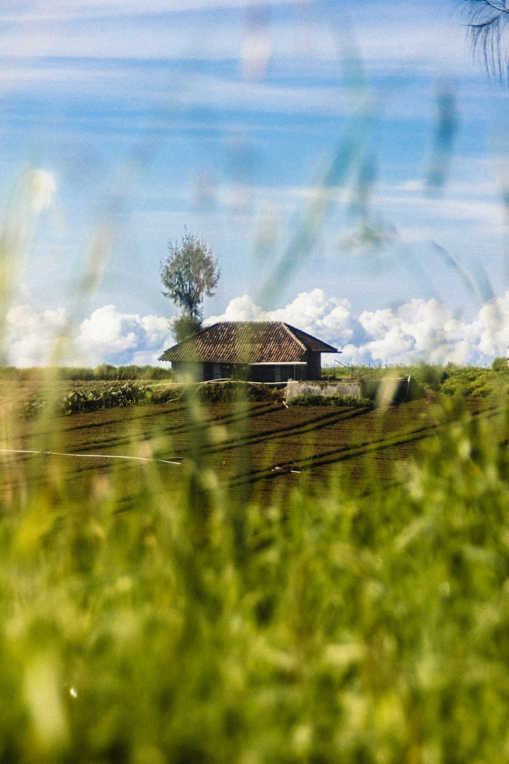 brown wooden house on green grass field under blue sky and white clouds during daytime