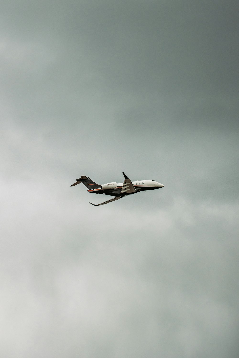 white and black bird flying under white clouds during daytime