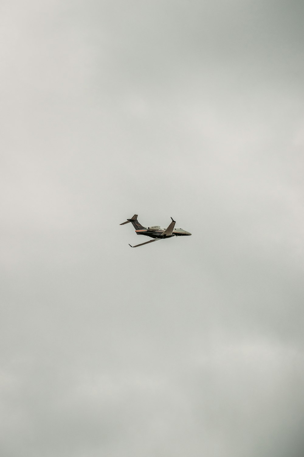 pájaro blanco y negro volando bajo nubes blancas durante el día