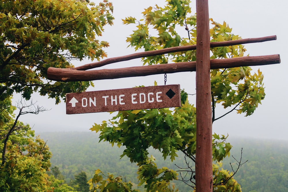 brown wooden signage on brown tree branch during daytime