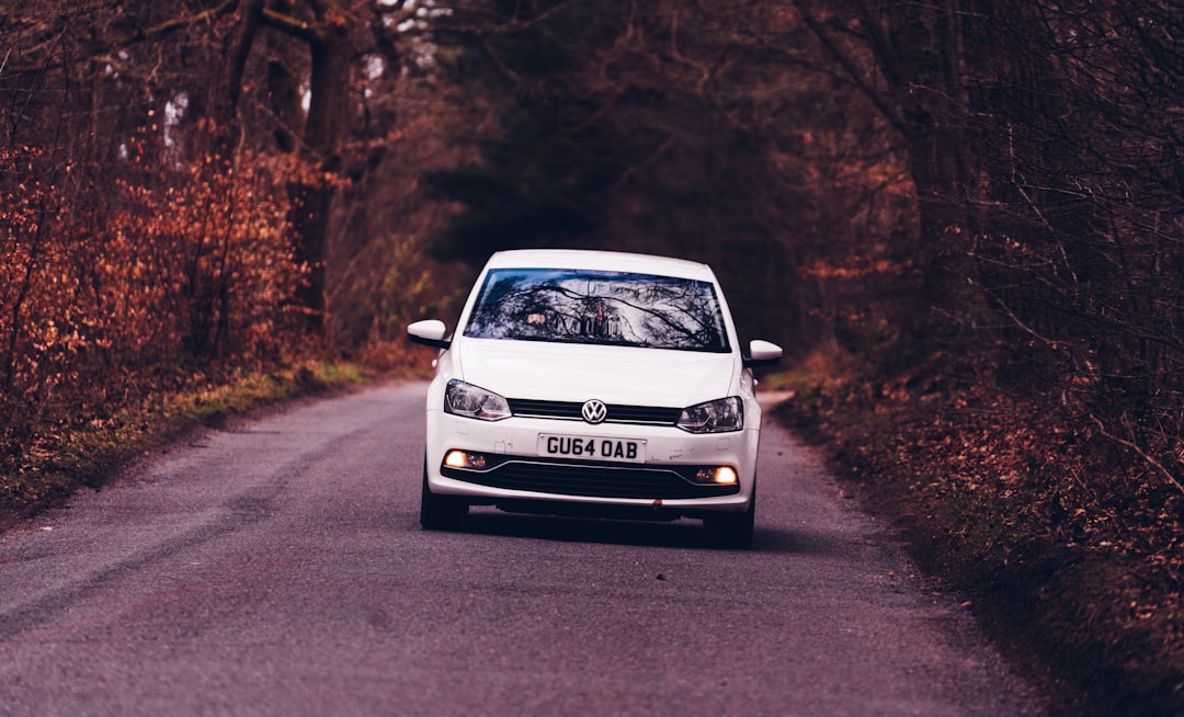 white and black volkswagen t-1 on road during daytime