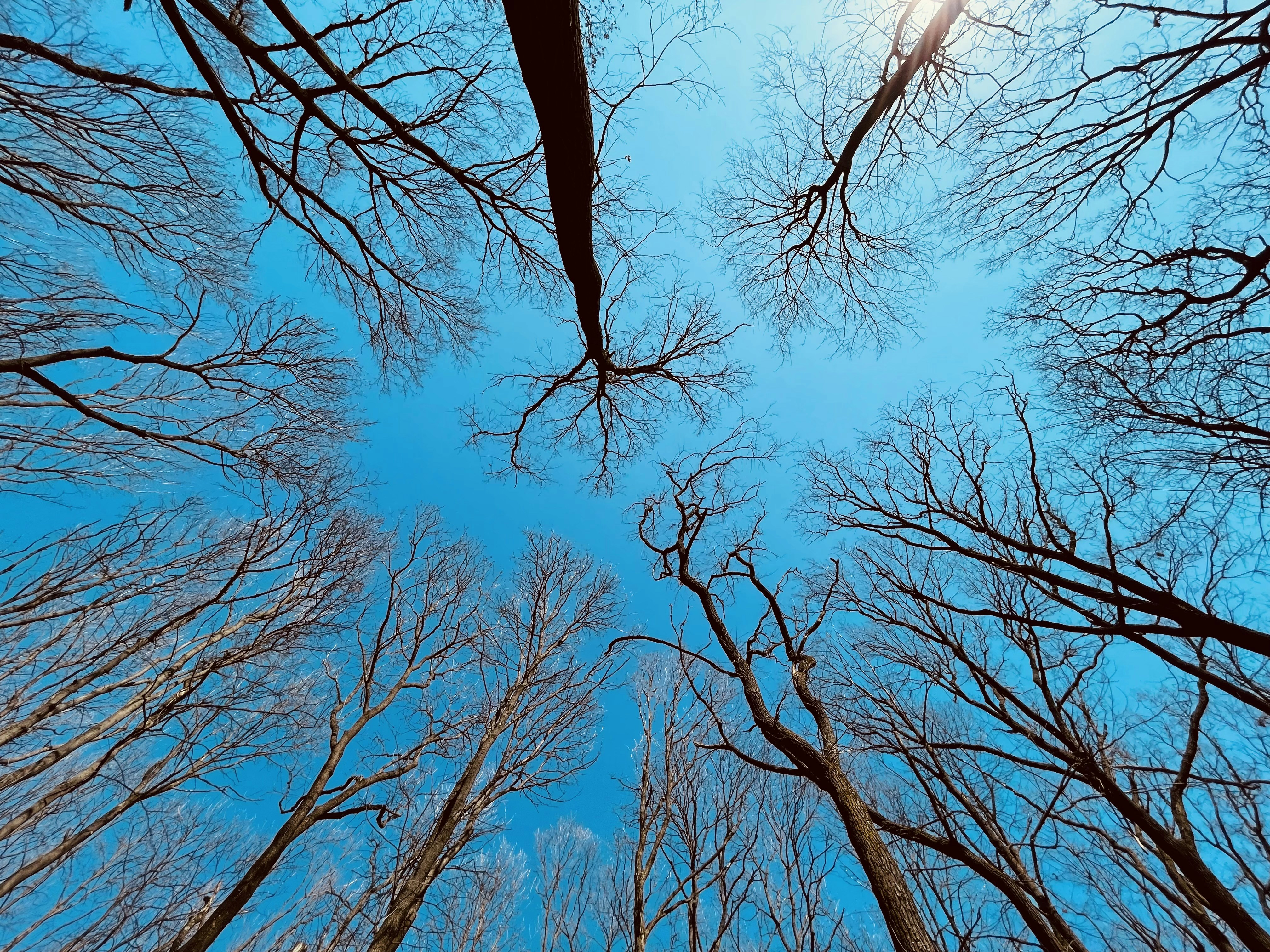 Photo by _jeremiah85_