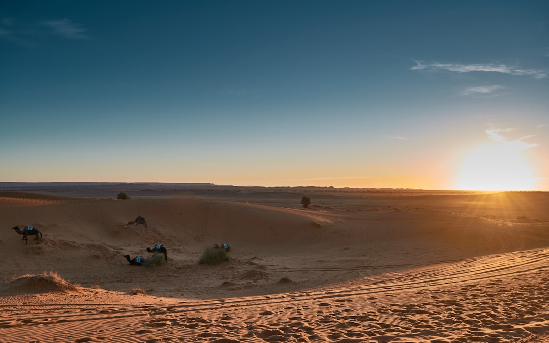 Plain photo spot Erg Chebbi Morocco