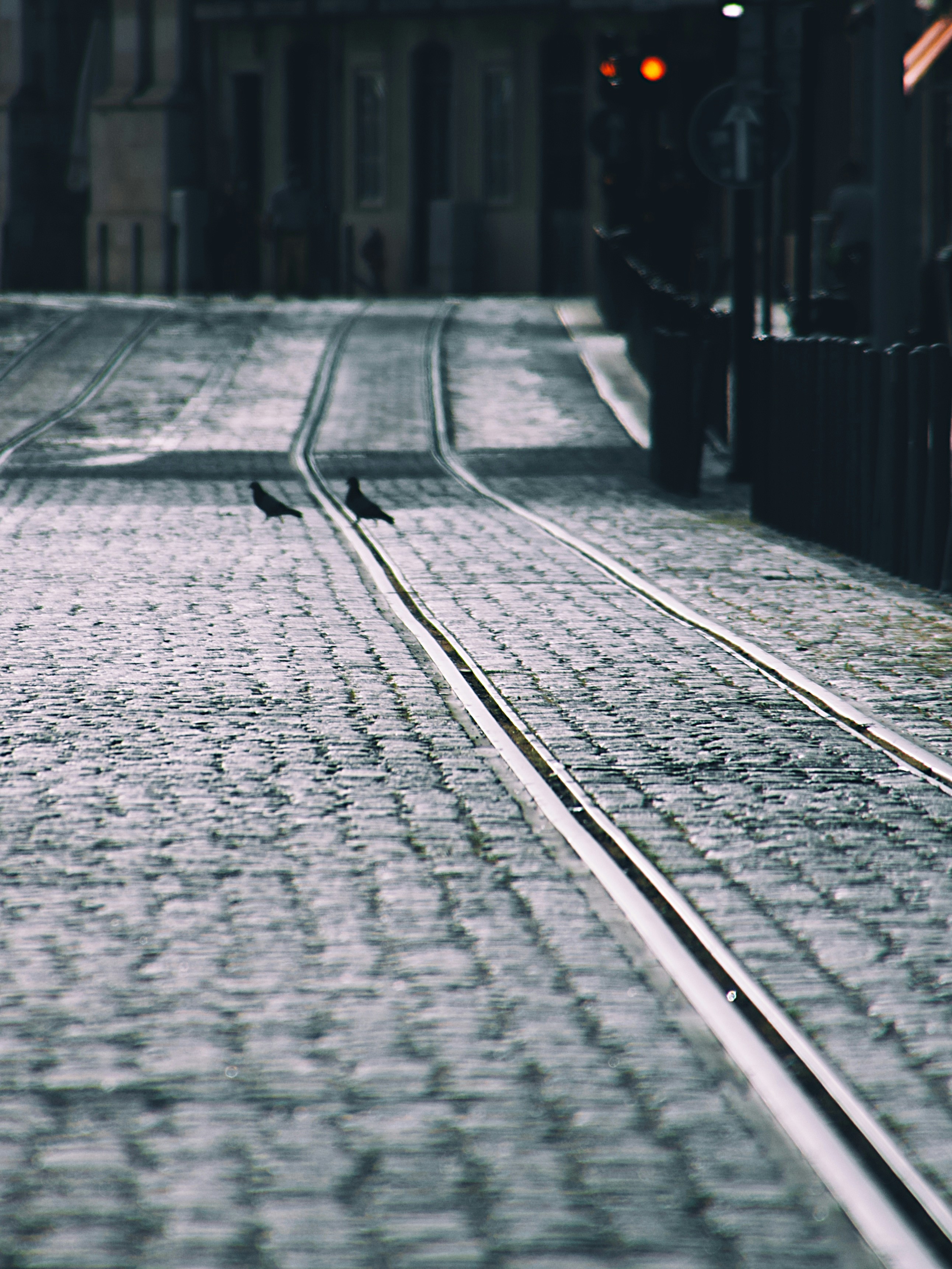 Photo by miguelalcantara