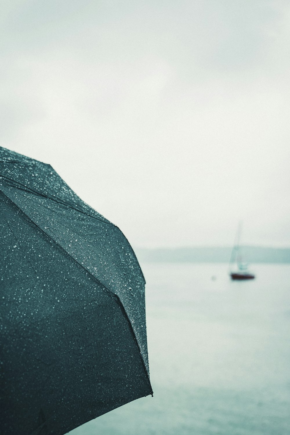 낮 동안 수역 근처의 검은 우산