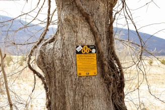 A large tree trunk with rough bark stands in a natural setting, featuring a warning sign about snakes attached to it. The sign has a yellow background with black text and images, indicating the presence of Timber Rattlesnakes and Northern Copperheads in the area. In the background, there are dry grasses and a faint outline of distant mountains or hills under a clear sky.
