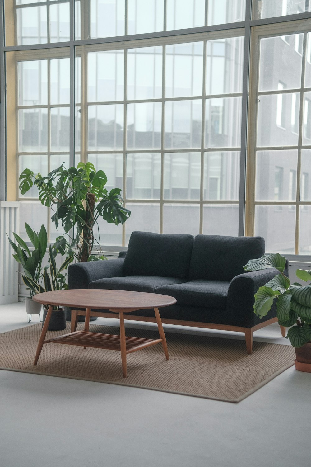 black sofa near green plant