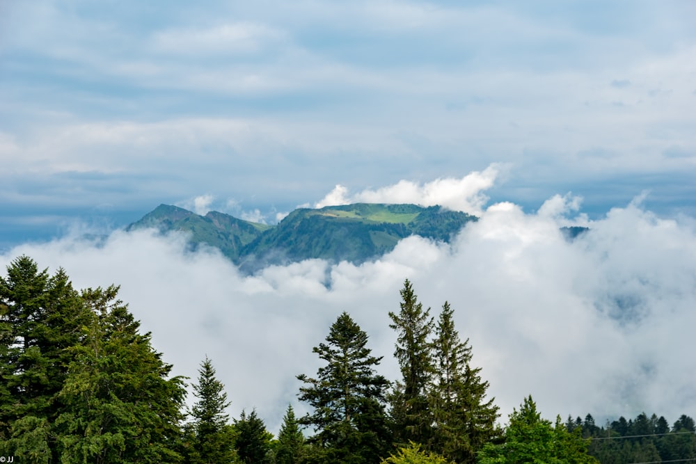 green trees near mountain under white clouds during daytime