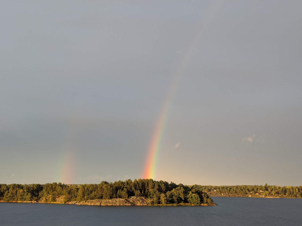 green trees near body of water under white clouds